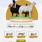 متوفره ذبايح جميع الاصناف باذن الله بالموقع بعفيف