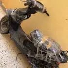 دباب