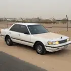 كرسيدا 1994 قمة النظافة