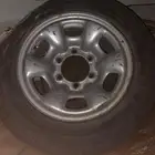جنوط