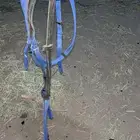 لجام قماش كفو جديد