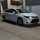 كورلا 2022 ستاندر