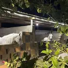 مربط واسطبل وايواء خيل