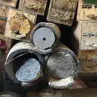 خلايا نحل بلدي