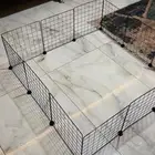 قفص قطط صغار