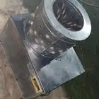 نتافه طيور
