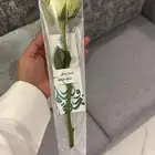 توزيعات وتجهيز ورد طبيعي اليوم الوطني (جملة)