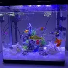 سمك زينه ب الحوض حقها