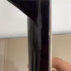عود زرياب للبيع