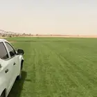 ثيل او نجم للاستراحات او للحدائق