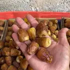 تمر