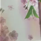 صياني مع ترامز من السيف غاليري