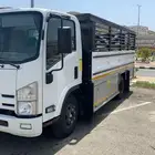 دينه ايسوزو 2016 للإيجار