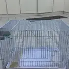 اللبيع شبك ارانب