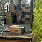 تمر نشتري الاحساء