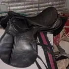 سرج حق ركوب نظيف من ايام الجنادرية