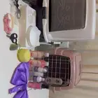 قطط