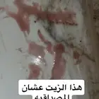 جازان