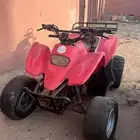 دباب سويدي 100