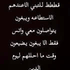 قطط للتبني