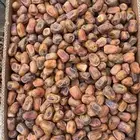 سكري فاخر حبه كبير حشو الكرتون ب 70 البيع جمله تم البيع