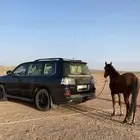 خيل