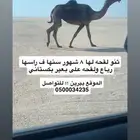 للتواصل