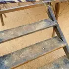 شبوك غنم ودكه للبيع