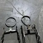 شكيمة ام ركبة