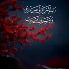 توصيل مشاوير داخل مكة