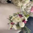 منسق مسكات - ملكات - زواجات