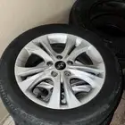 جنوط سوناتا