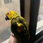 للبيع صن كنيور اليف