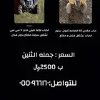 دبابين للبيع