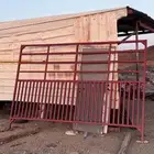 شبوك حديد للإبل   جودة عالية وسعر مناسب