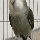 روز للانتاج