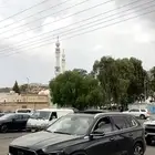 جيلي مونجارو للبيع او التنازل بدون مقابل