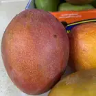 مانجا طازجه