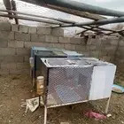 ثلاث بطاريات ارانب نضيفه حديد قوي