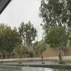 مطلوب بيت اجار في الطايف الحلقه او الحويه الرويدف سنوي
