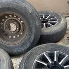 للبيع جنوط