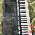 أورق يامها للبيع