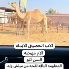 الي يبي فديو سيرر لها ياتي خاص