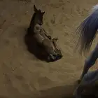 مهر شعبي للبيع