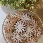 شعثه بالسمن البقر