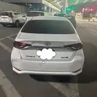 كورولاء 2020 صبغت وكالة