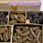 أربع النوع من العود الفاخر والمناسب لجميع المناسبات ..