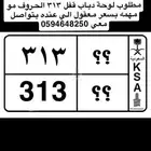 لوحه 313