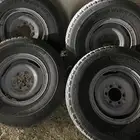 جنوط صلون 84