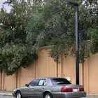 فورد 1998